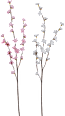 Apfelblütenzweig, rosa/weiß Dekorieren & Einrichten
