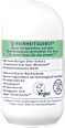 Deo Roll-on Wasserlilie, Reisegröße CD