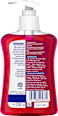 Flüssigseife Cranberry Harmony, Hygiene Sagrotan