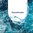 Allzweckreiniger Frischetraum Sagrotan