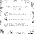 Duftkerze im Glas Vanilleschote & Kokosnuss 220g AirWick