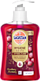 Flüssigseife Cranberry Harmony, Hygiene Sagrotan