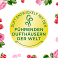 Duftkerze im Glas Raspberry Rose Splash 105 g AirWick