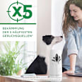 Duftspray Freshmatic Max Starter-Set Sommervegnügen AirWick