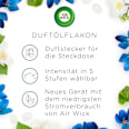 Lufterfrischer Duftstecker Veilchen & Frühlingsfrische Nachfüllpack AirWick