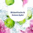 Allzweckreiniger mit Desinfektion  Sagrotan