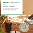 Lufterfrischer Aroma-Öl Diffuser Starter-Set Bergamotte & Lavendel AirWick