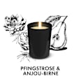 Duftkerze im Glas Pfingstrose & Anjou-Birne 220g AirWick