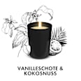 Duftkerze im Glas Vanilleschote & Kokosnuss 220g AirWick