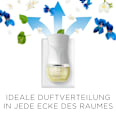 Lufterfrischer Duftstecker Veilchen & Frühlingsfrische Nachfüllpack AirWick