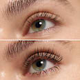 Mascara Lash Princess False Lash Effect  essence