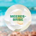 Lufterfrischer Active Fresh Meeresbrise Nachfüllpack AirWick