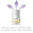 Duftöl Nachfüller Bergamotte & Lavendel AirWick