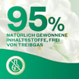 Lufterfrischer Active Fresh Cotton & Weiße Orchidee Starterset AirWick