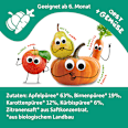 Quetschie Apfel, Birne, Karotte & Kürbis ab 6 Monaten Freche Freunde