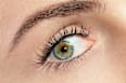 Glam & Doll False Lashes maskara vodootporna – 010 Black CATRICE