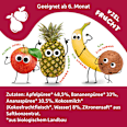 Quetschie Apfel, Banane, Ananas & Kokosnuss ab 6 Monaten Freche Freunde