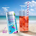 Eistee, Brombeer  & Minze Possibilitea
