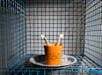 Zahnputzbecher "Die Maus"- Orange HYDROPHIL
