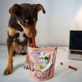 Hundeleckerli mit roter Beete & Buchenrauch, Beevys  VEGDOG