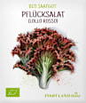 Saaten, Pflücksalat (Lollo Rosso) Stadt Land blüht