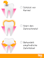 Fluorid Gel Protector  Mara