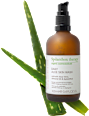 Waschgel Daily Aloe  Spilanthox therapy
