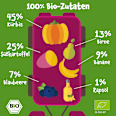 Quetschie Kürbis, Süßkartoffel, Birne, Banane & Blaubeere, ab 6 Monaten pumpkin organics