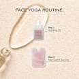 Gua Sha Stein Rosenquarz Rosental Organics