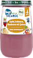Frucht & Getreide mit Apfel, Erdbeere, Blaubeere und Quinoa Freche Freunde