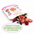 Kindersnack Fruchtchips Roter Beerenmix ab 3 Jahren Freche Freunde