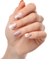 UV Nagelfolien Urban Jungle Maniko