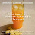 10-Tage-Trinkkur Ayurveda Wildkräuterauszug kruut
