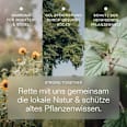 10-Tage-Trinkkur Ayurveda Wildkräuterauszug kruut