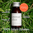 Immun Wildkräuter-Shot  kruut