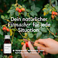 Immun Wildkräuter-Shot  kruut