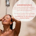 Pflege Shampoo Jojoba Apfel Jean&Len