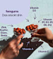 femgums Zyklus Balance fembites