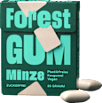 Kaugummi Minze Forest GUM
