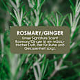 Flüssigseife rosemary & ginger, Rosmarin & Ingwer, Nachfüllpack Jean&Len