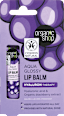 Balzam za ustnice Aqua Glossy organic shop