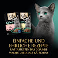Nassfutter Katze Kitten mit Lachs & Huhn, feine Vielfalt in Sauce, Junior Multipack (12x85 g) Sheba