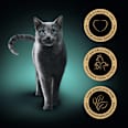 Nassfutter Katze, Huhn, Ente & Truthahn, Selection in Sauce - Geflügel Variation, Multipack (12x85 g) Sheba