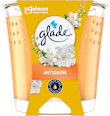 Candela assort. glade