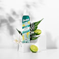Leave-In Conditioner Original Batiste