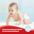 Windeln Ultra Comfort Gr. 3 (4-9 kg), Monatsbox Huggies