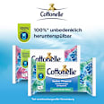 Feuchtes Toilettenpapier Sauber Pflegend Cottonelle