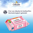 Feuchtes Toilettenpapier Sensitiv Pflegend, Maxi Pack Cottonelle