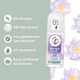 Deo Roll-On Wasserlilie CD