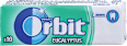 Žvečilni gumiji Eucalyptus Orbit